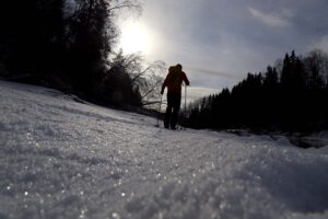 Read more about the article Tips til enkle opplevelser: – Naturen er aldri langt unna, med mange ulike muligheter