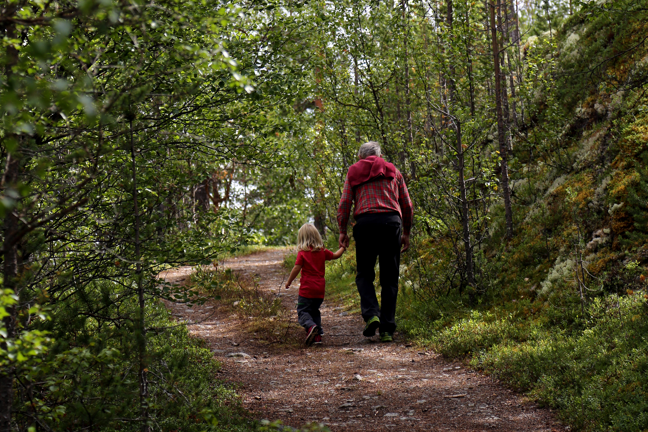 Read more about the article På tur med barn? Prøv Bjørnhollia