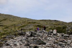 Read more about the article Velger norske fjell fremfor hetebølge i Europa