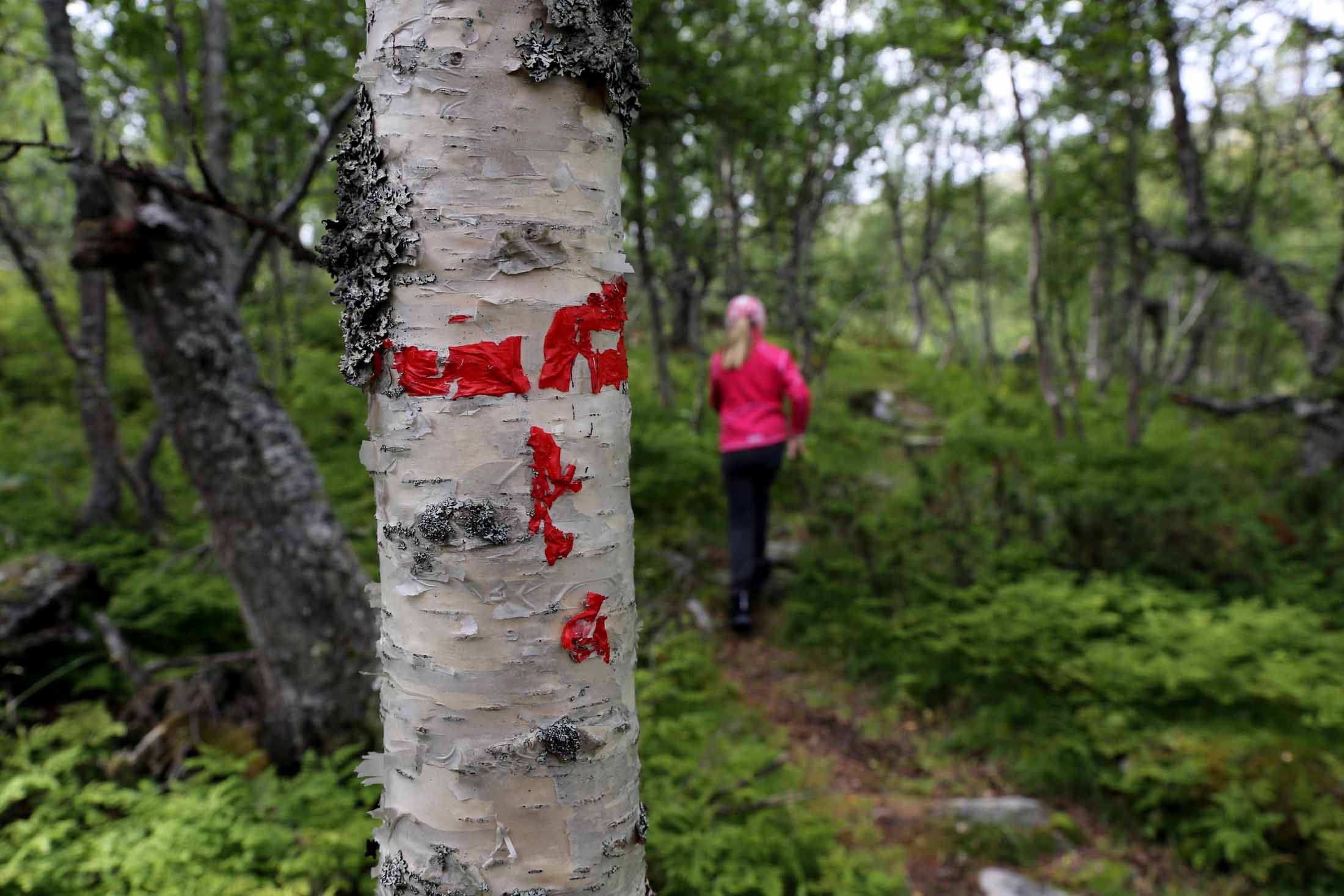 Read more about the article Gir bort én million kroner til lokale turstier