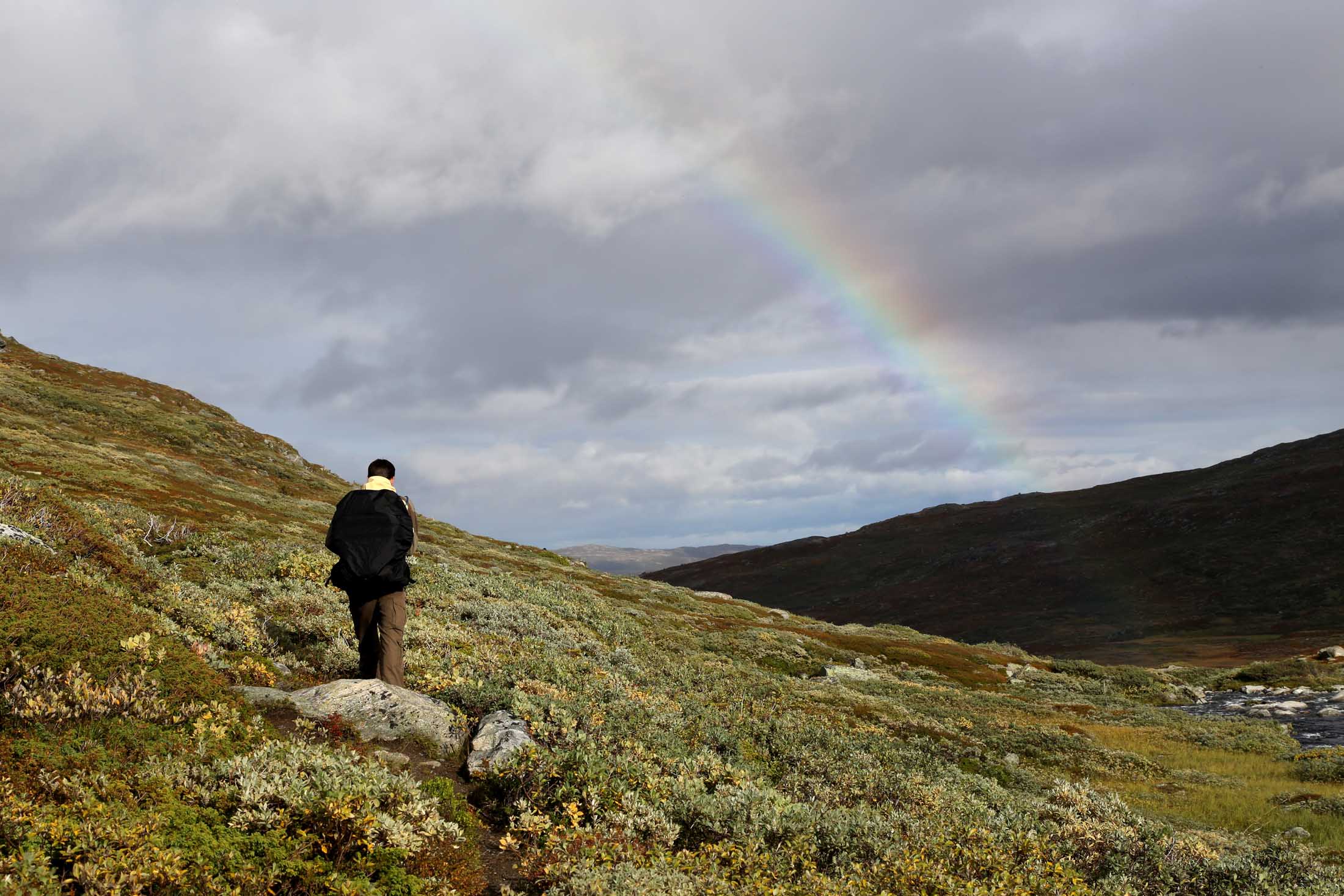 Read more about the article Flere vær-rekorder i juli