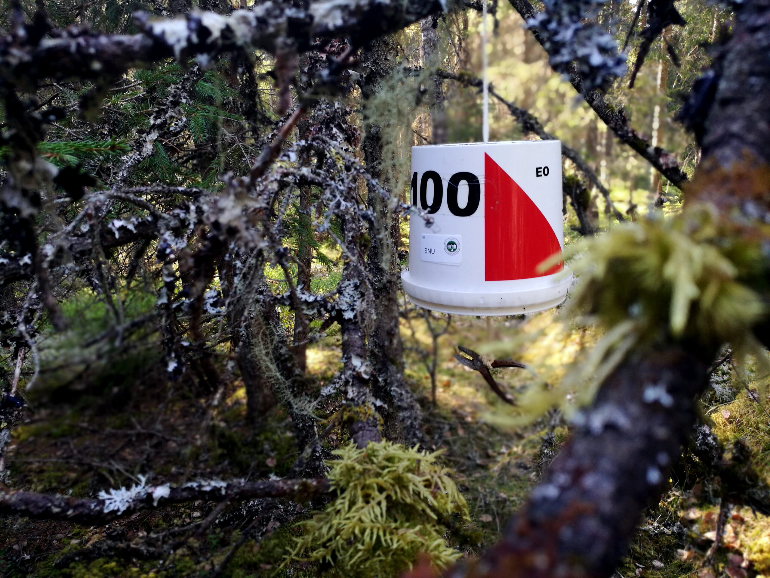 Read more about the article Turorientering: Jakten på postene