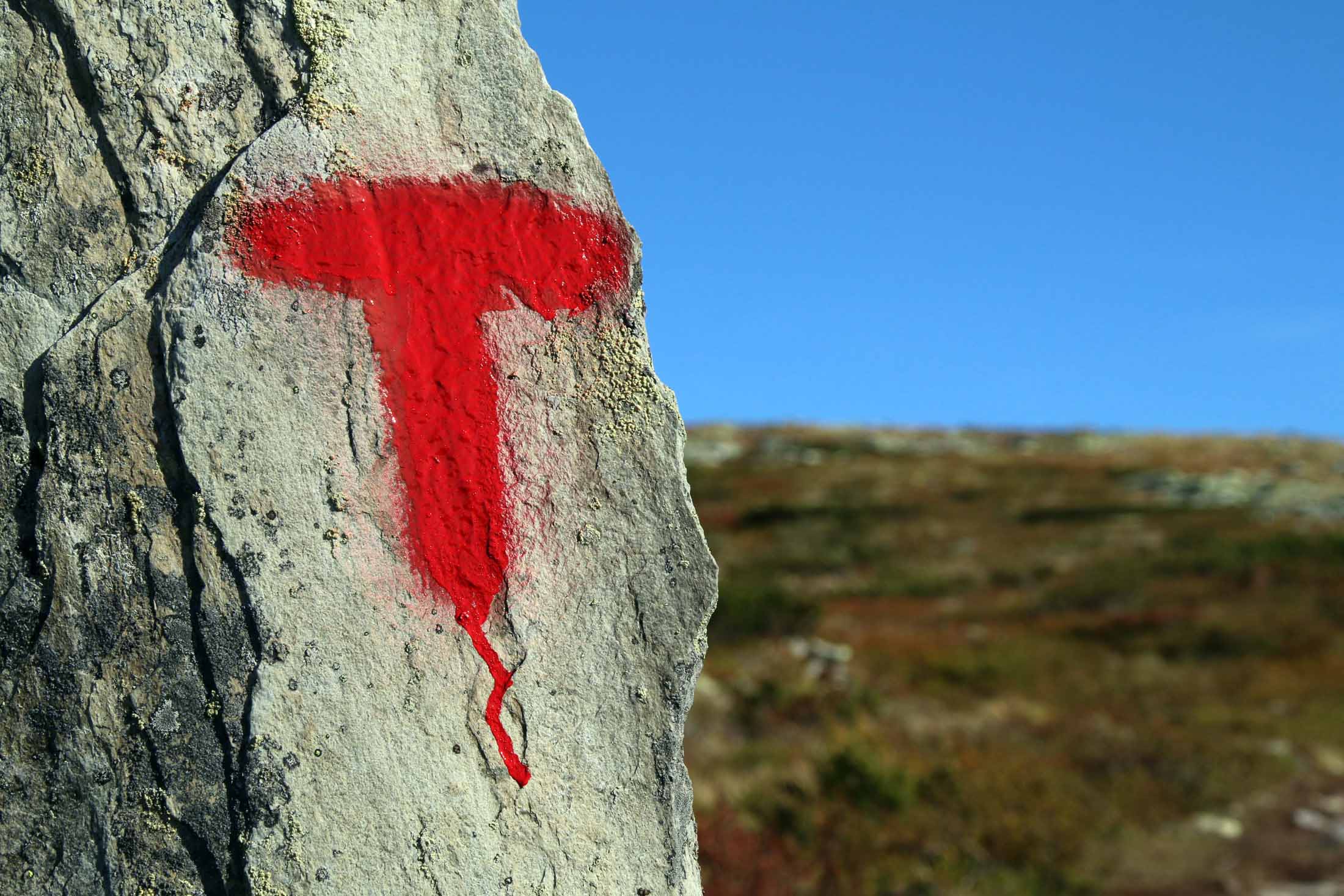 Read more about the article Medlemsrekord: – Kan dra på hyttetur for noen hundrelapper