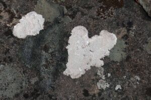 Read more about the article Over 40.000 til topps hvert år