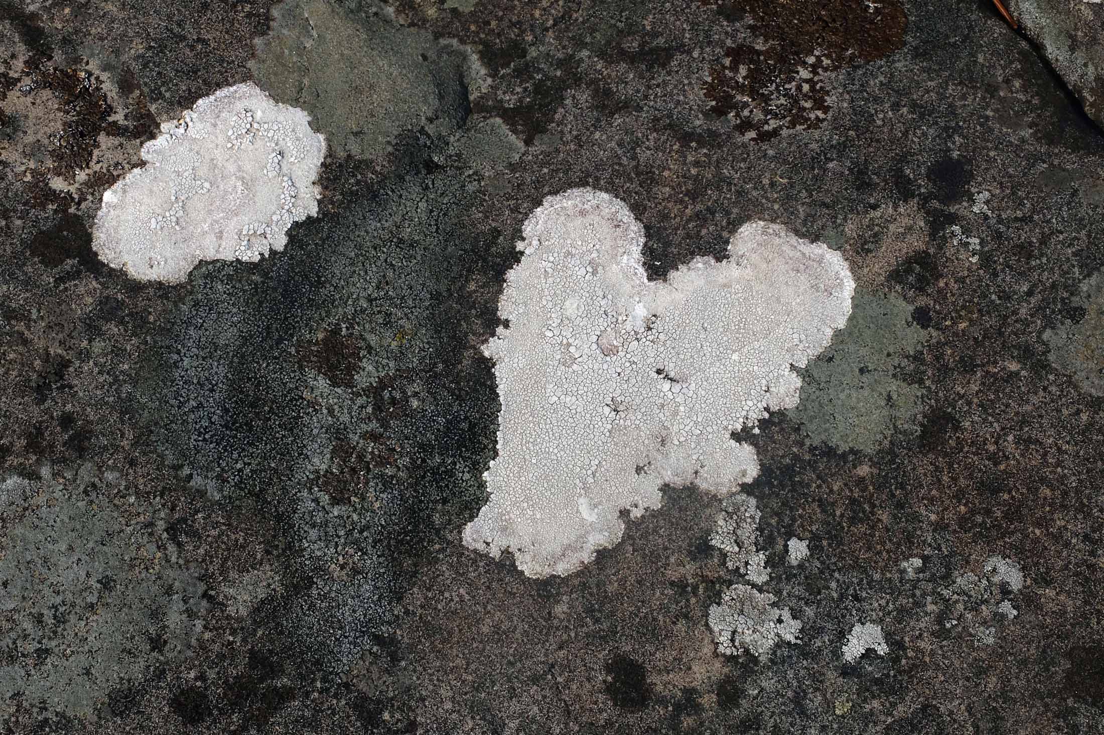 Read more about the article Tilrettelagt topptur: Over 40.000 til topps hvert år