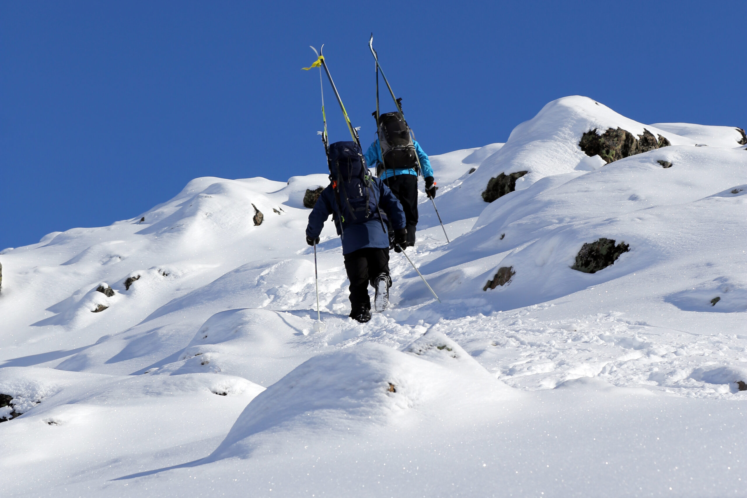 Read more about the article Årets mest leste Villspor-artikler: Dramatisk flyulykke, smaksrik bålmat, barnevennlige Bjørnhollia og  Besseggen på fjellski