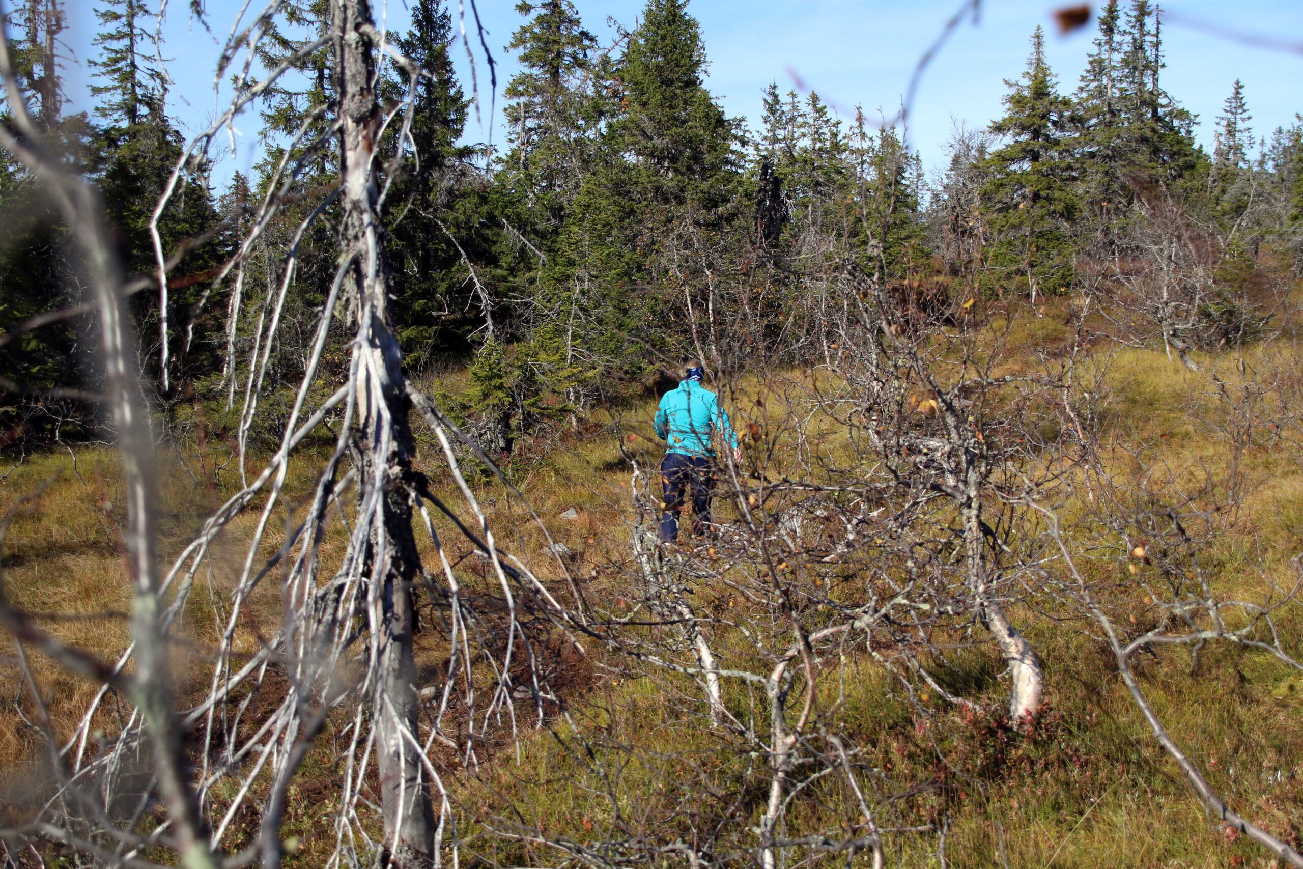 Read more about the article Julegave til friluftslivet: Penger til akebakke, stier, gapahuker, turutstyr og badekulp