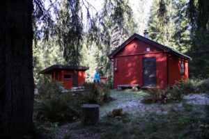 Read more about the article Snippkoia: Midt i mørke skogen, ved hekseprosessene på Gitvola