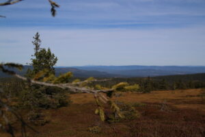 Read more about the article De minst brukte hyttene: Her kan du være alene på tur