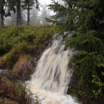 LEK: Opplevelsene finnes i bekken, dammen eller oppe i en flomstor sølepytt.