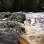 LEK: Opplevelsene finnes i bekken, dammen eller oppe i en flomstor sølepytt.