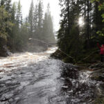 LEK: Opplevelsene finnes i bekken, dammen eller oppe i en flomstor sølepytt.