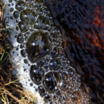 LEK: Opplevelsene finnes i bekken, dammen eller oppe i en flomstor sølepytt.