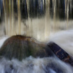 LEK: Opplevelsene finnes i bekken, dammen eller oppe i en flomstor sølepytt.