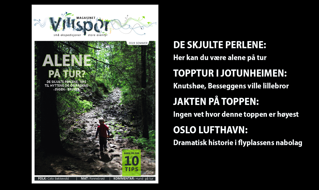 Read more about the article Digitalt magasin: Sommer 2019