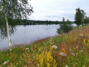 Read more about the article På gamle stier fra Borgen på Nordhue og ned til riksvei 3 og Glomma