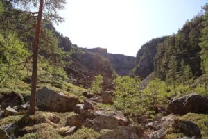 Read more about the article Den tiende varmeste junimåneden siden 1900: – Et tydelig signal på klimaendringene