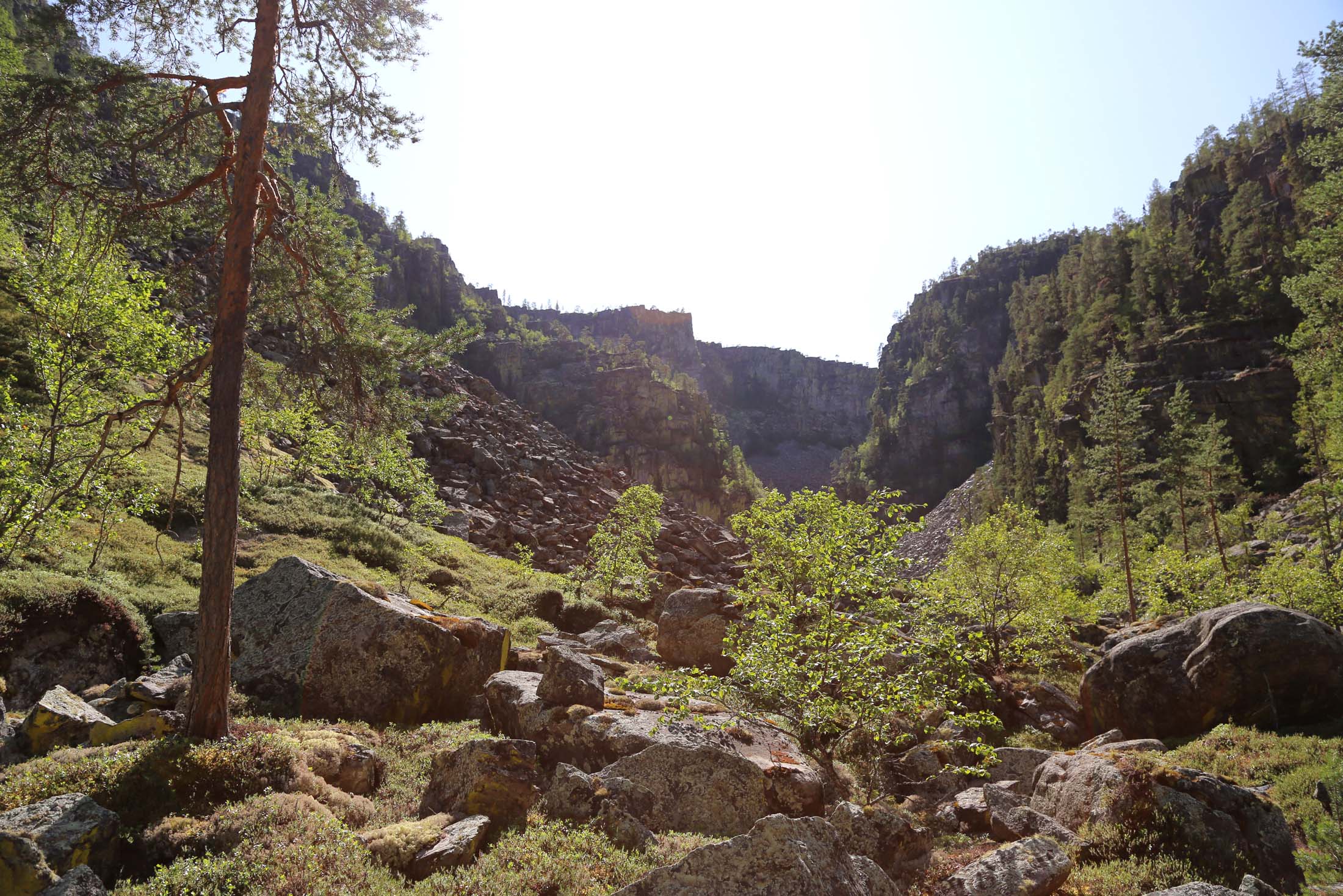 Read more about the article Den tiende varmeste junimåneden siden 1900: – Et tydelig signal på klimaendringene