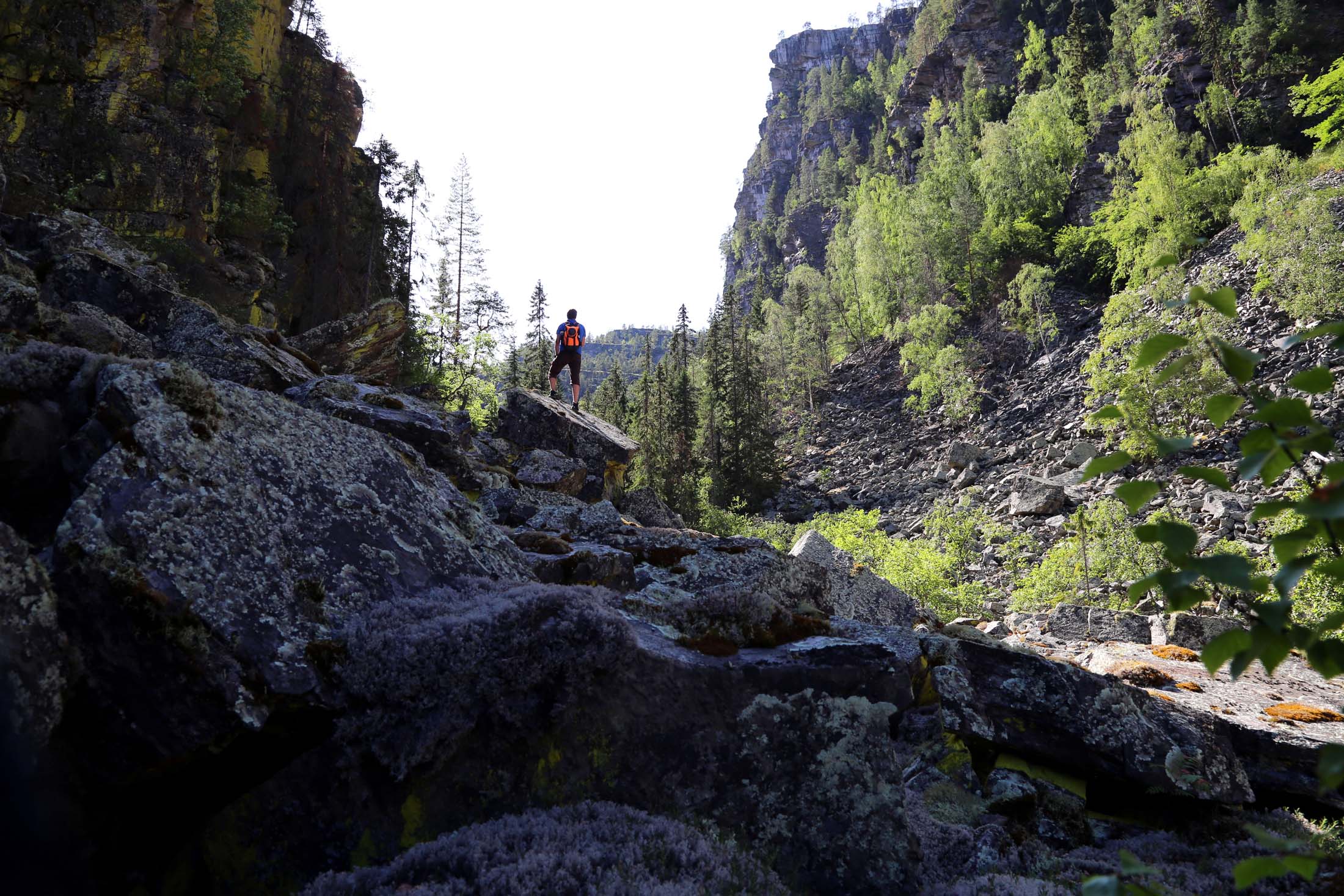 Read more about the article Uhyggelig og magisk i bunnen av mektige Jutulhogget