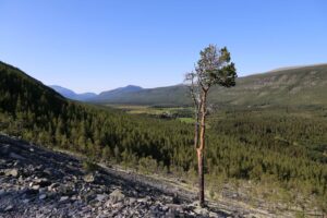 Read more about the article Kommentar: Jeg er klar for nye turer, hva med deg?