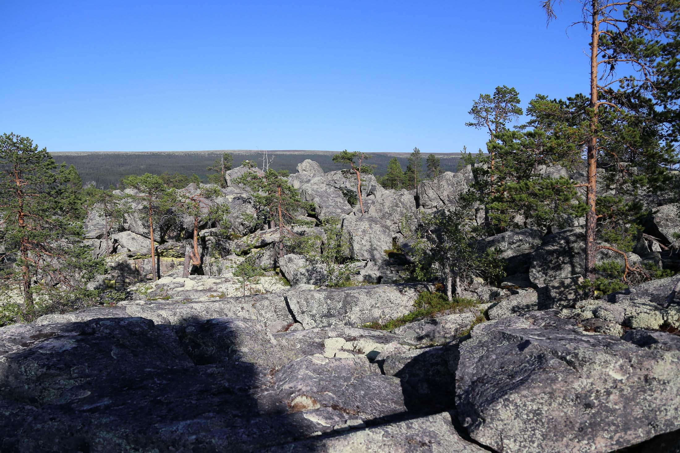 Read more about the article Kronikk: Reiselivet må ta vare på urørt natur