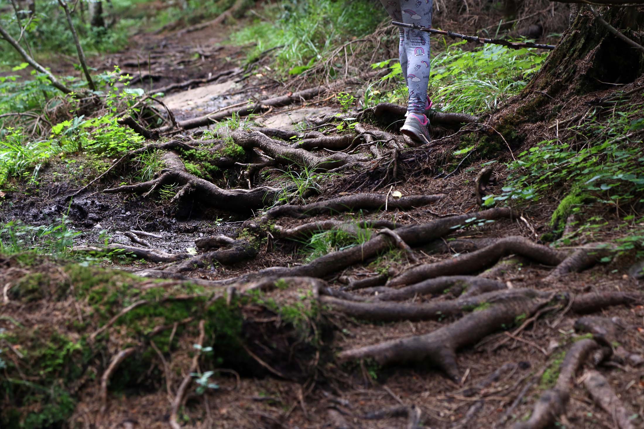 Read more about the article Penger til friluftsliv: Støtte til båt for bru, nye fjellduker og skilting av lokalhistorie