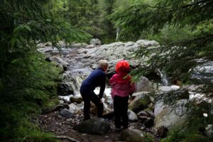 Read more about the article Undersøkelse om allemannsretten: Usikkerhet om bading i lakseelver, sopp, el-sykkel og båndtvang