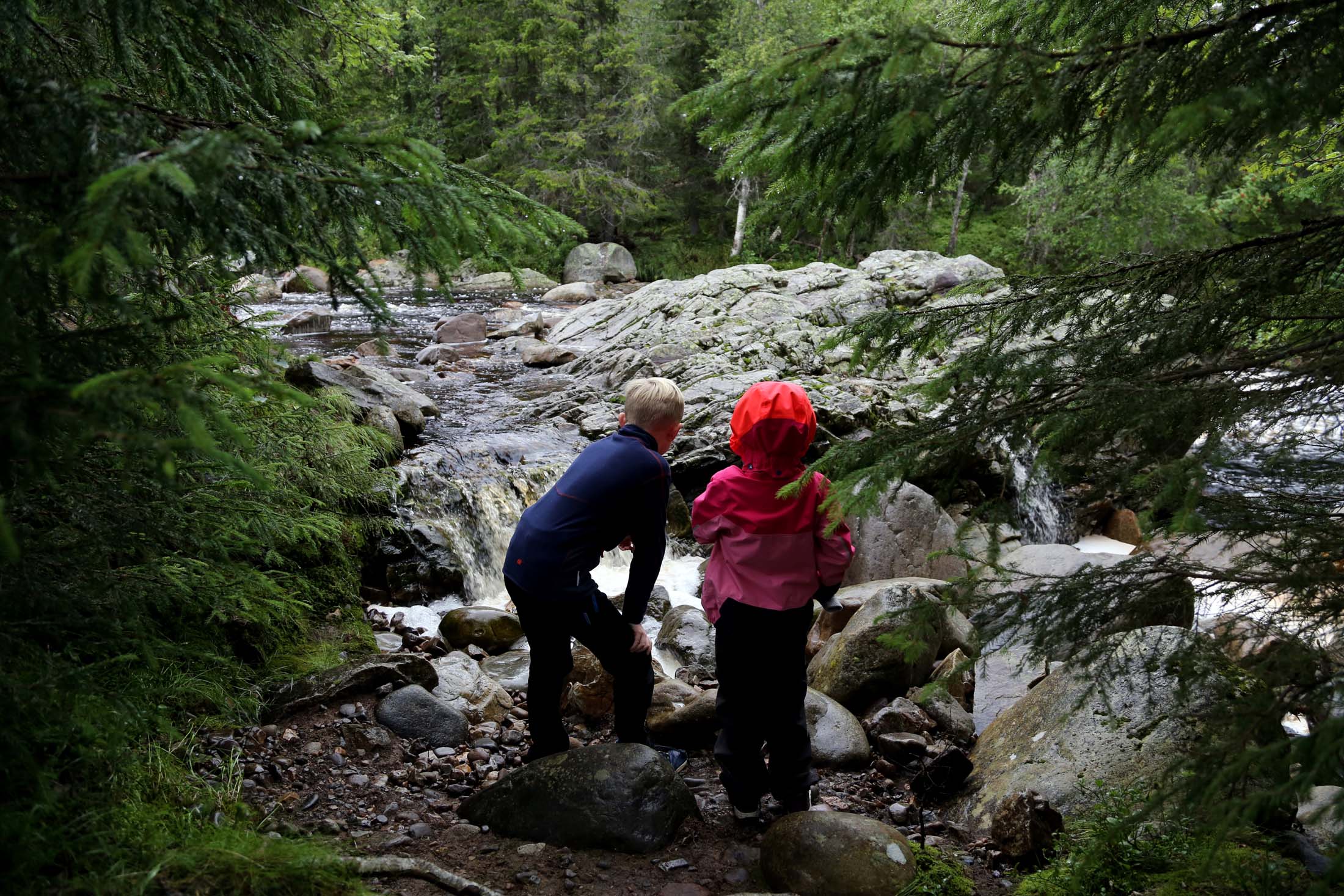 Read more about the article Undersøkelse om allemannsretten: Usikkerhet om bading i lakseelver, sopp, el-sykkel og båndtvang