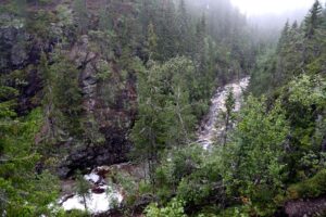 Read more about the article Mer enn tre av fire nordmenn er bekymret for tap av natur