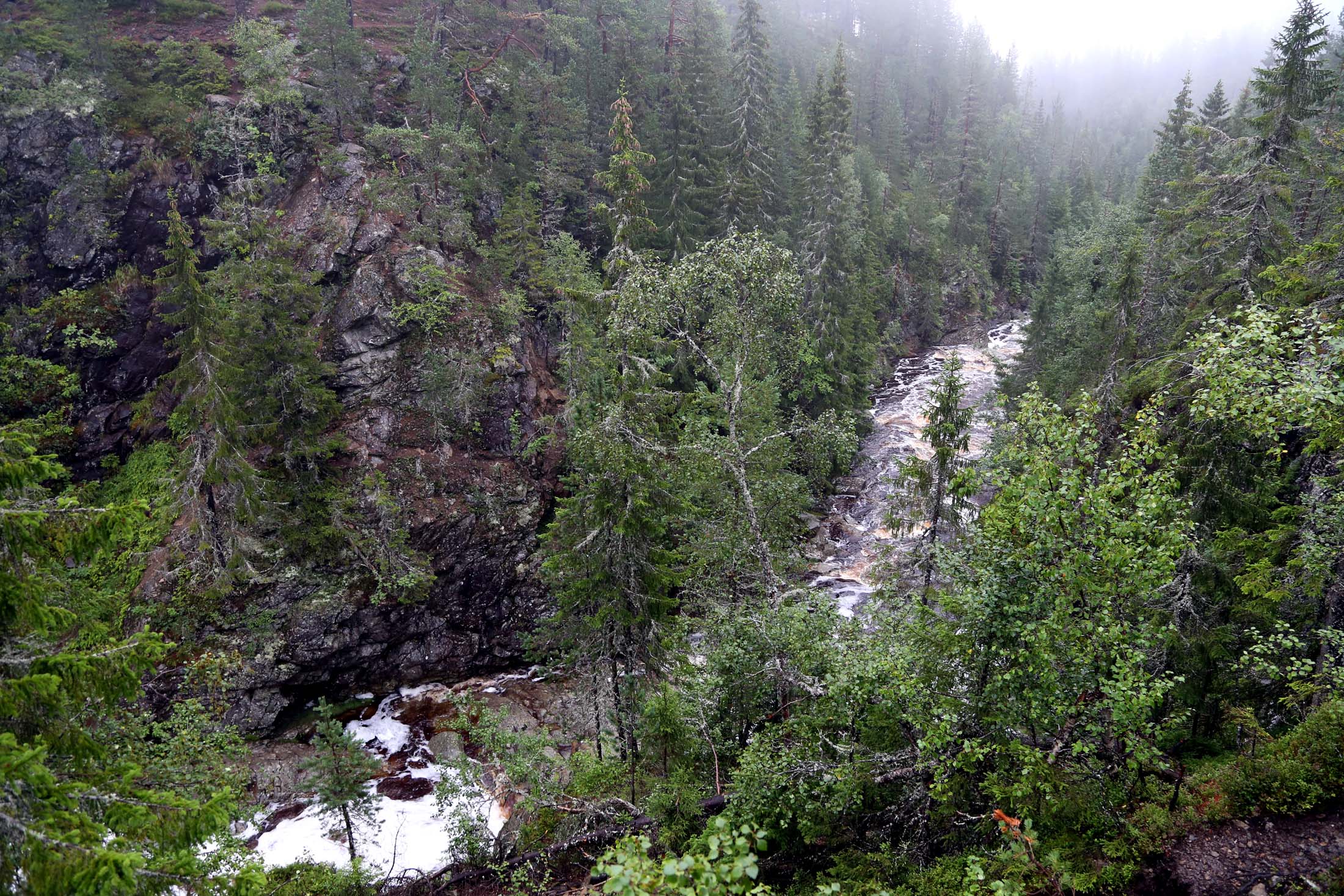 Read more about the article Mer enn tre av fire nordmenn er bekymret for tap av natur