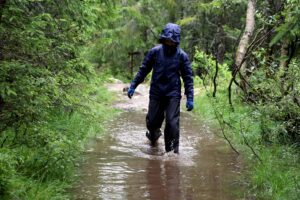 Read more about the article Norgesferie: Vi irriterer oss over myggen, flåtten, været og temperaturen