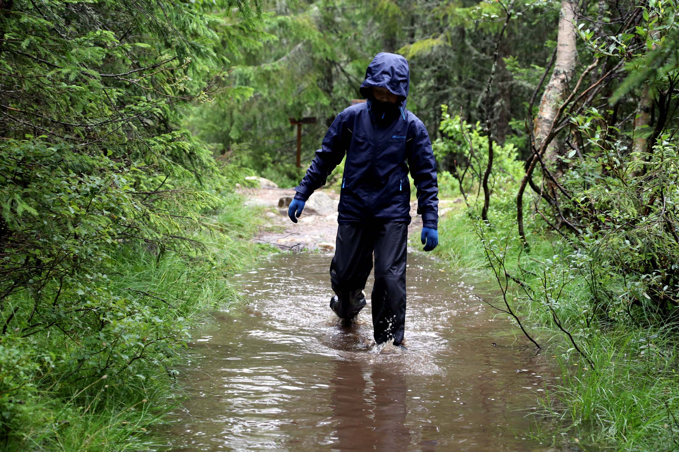 Read more about the article Norgesferie: Vi irriterer oss over myggen, flåtten, været og temperaturen