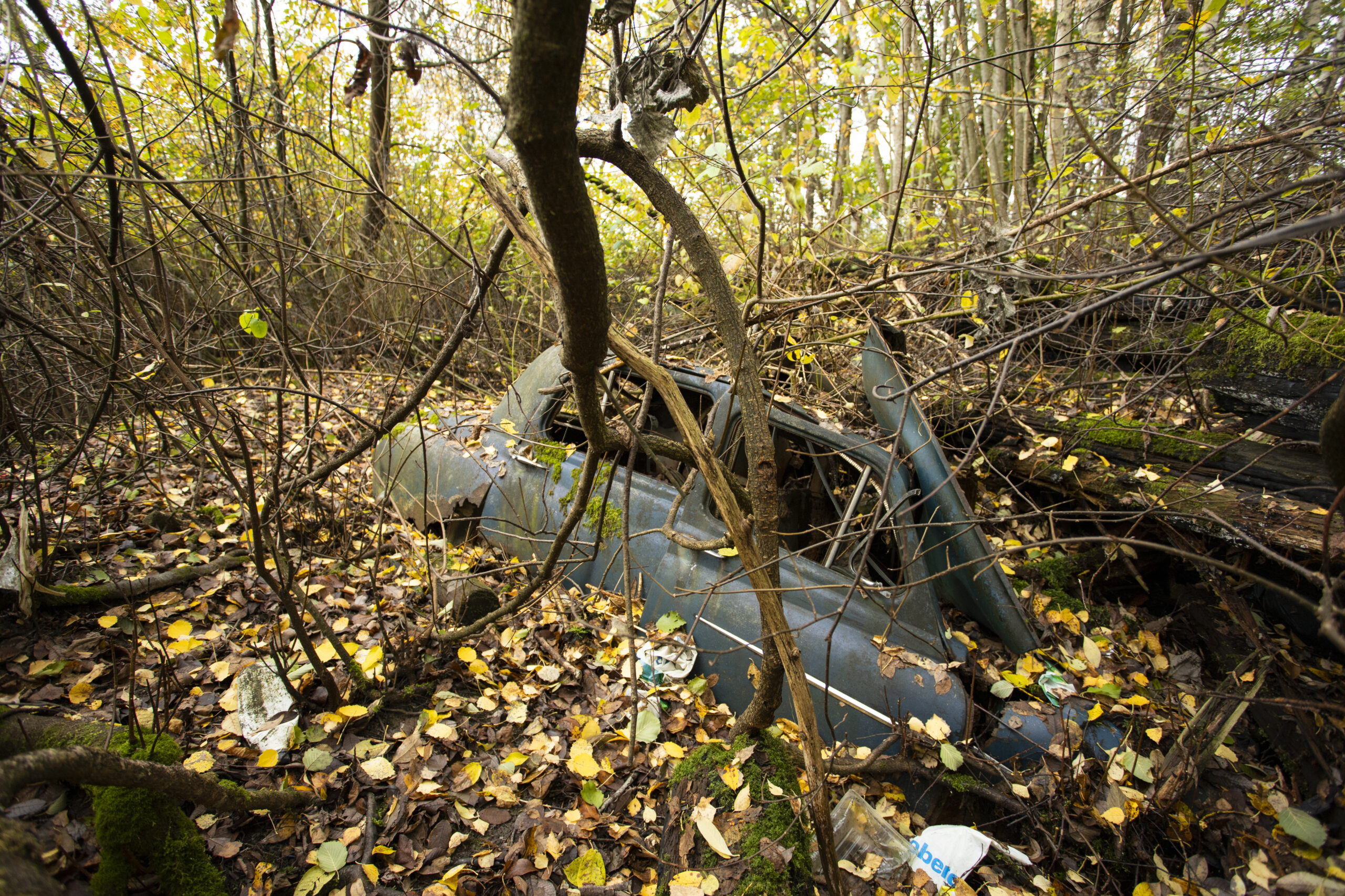 Read more about the article Urban ekspedisjon: Her ligger byens ukjente bilkirkegård, kun minutter fra nærmeste kafé