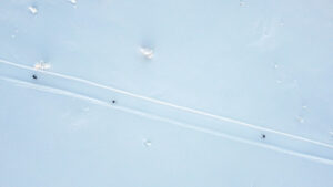 Read more about the article Kautokeino registrerte sin laveste november-temperatur på over 30 år