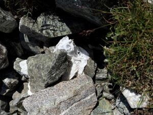 Read more about the article Hvordan kan vi redusere forsøpling i naturområder?