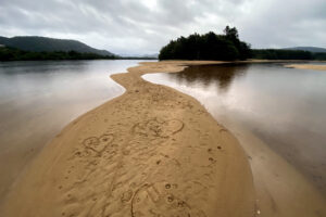 Read more about the article Sårbar natur: Seks tips for sporløs ferdsel