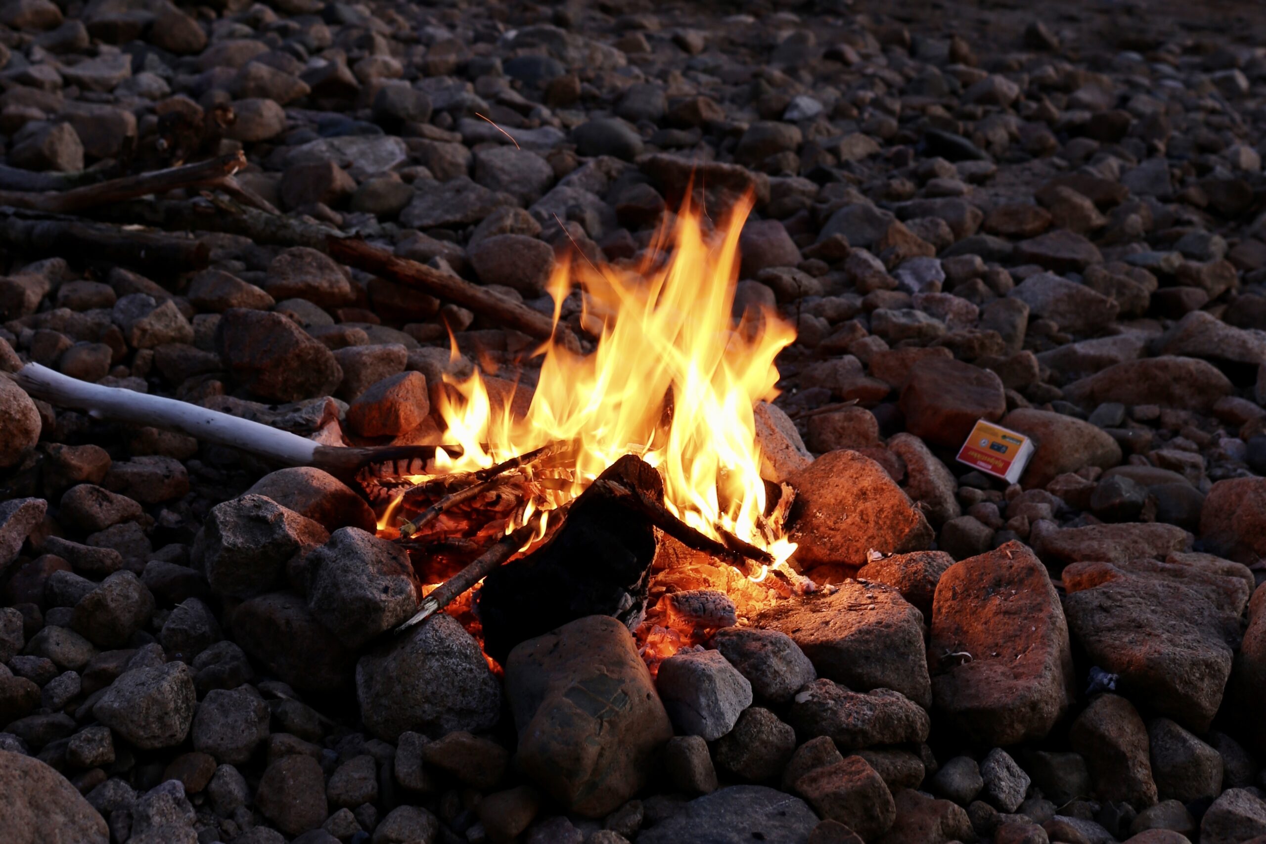 Read more about the article Økt skogbrannfare, bedre varsling: – Vi bruker de beste analyser og prognoser vi har tilgjengelig