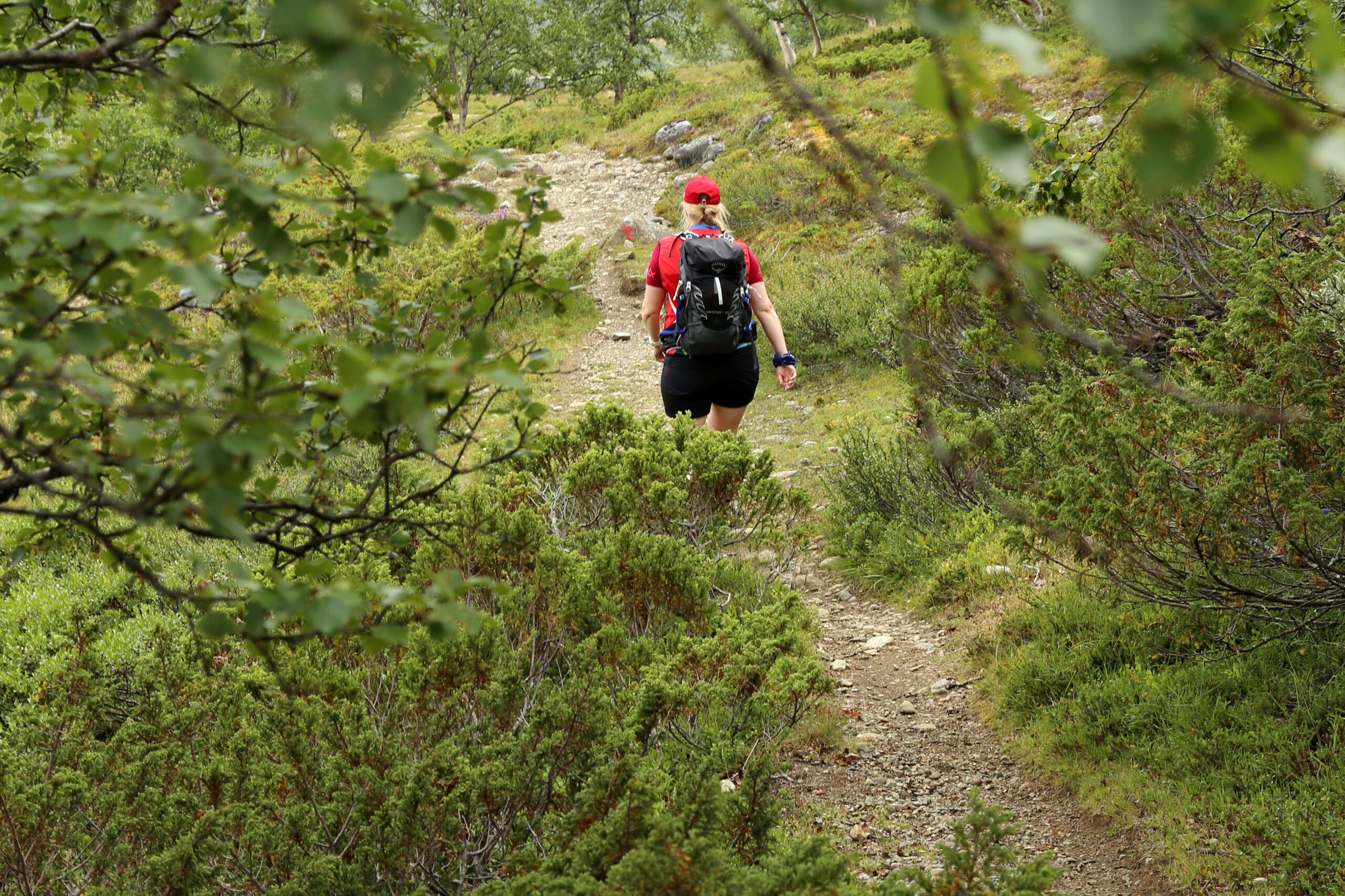 Read more about the article Flere ut på tur: Unge inspireres av Instagram, voksne av Facebook.