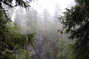 Read more about the article Villmarken i Norge forsvinner. Naturen og landskapet endres.