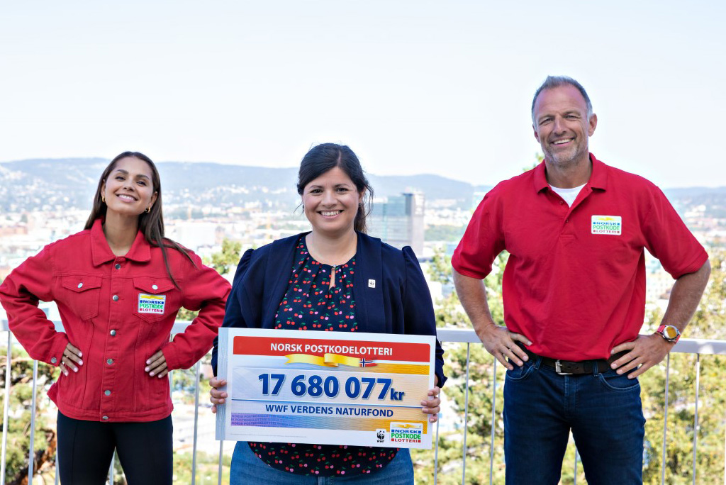 Read more about the article Tom Stiansen: – I dag er det SOS-barnebyer og WWF Verdens naturfond som er de største vinnerne