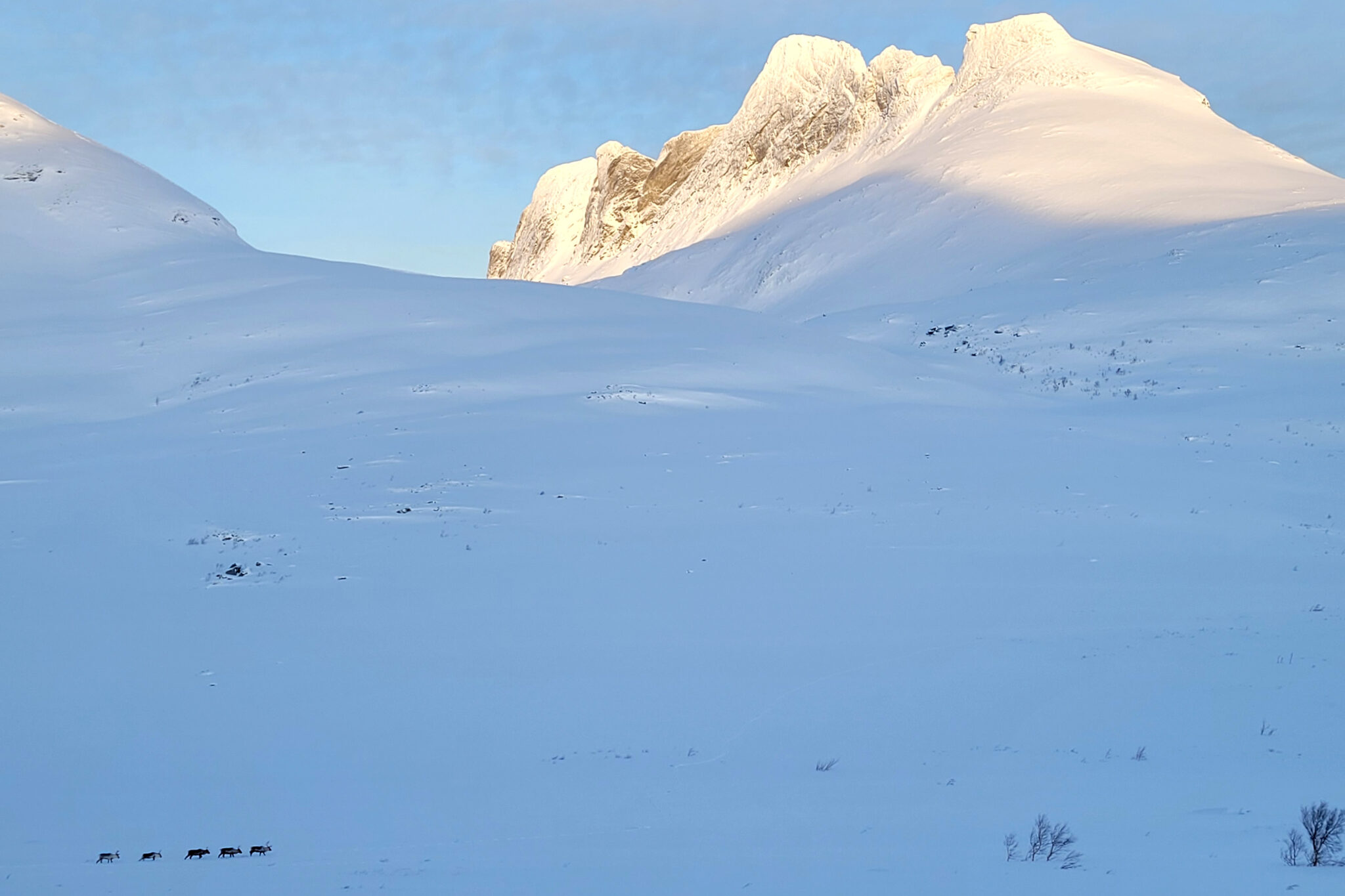 Read more about the article Nå er det fint i fjellet: – 15 centimeter nysnø som gir et perfekt skiføre