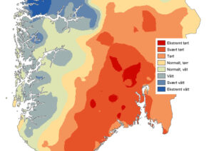 Read more about the article Mild og våt januar: – Det går lengre tid mellom de gode, gammeldagse vintrene