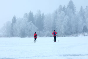 Read more about the article Trender for 2024: Flere nærturer, større utfordringer, mer gjenbruk og bedre kunnskap