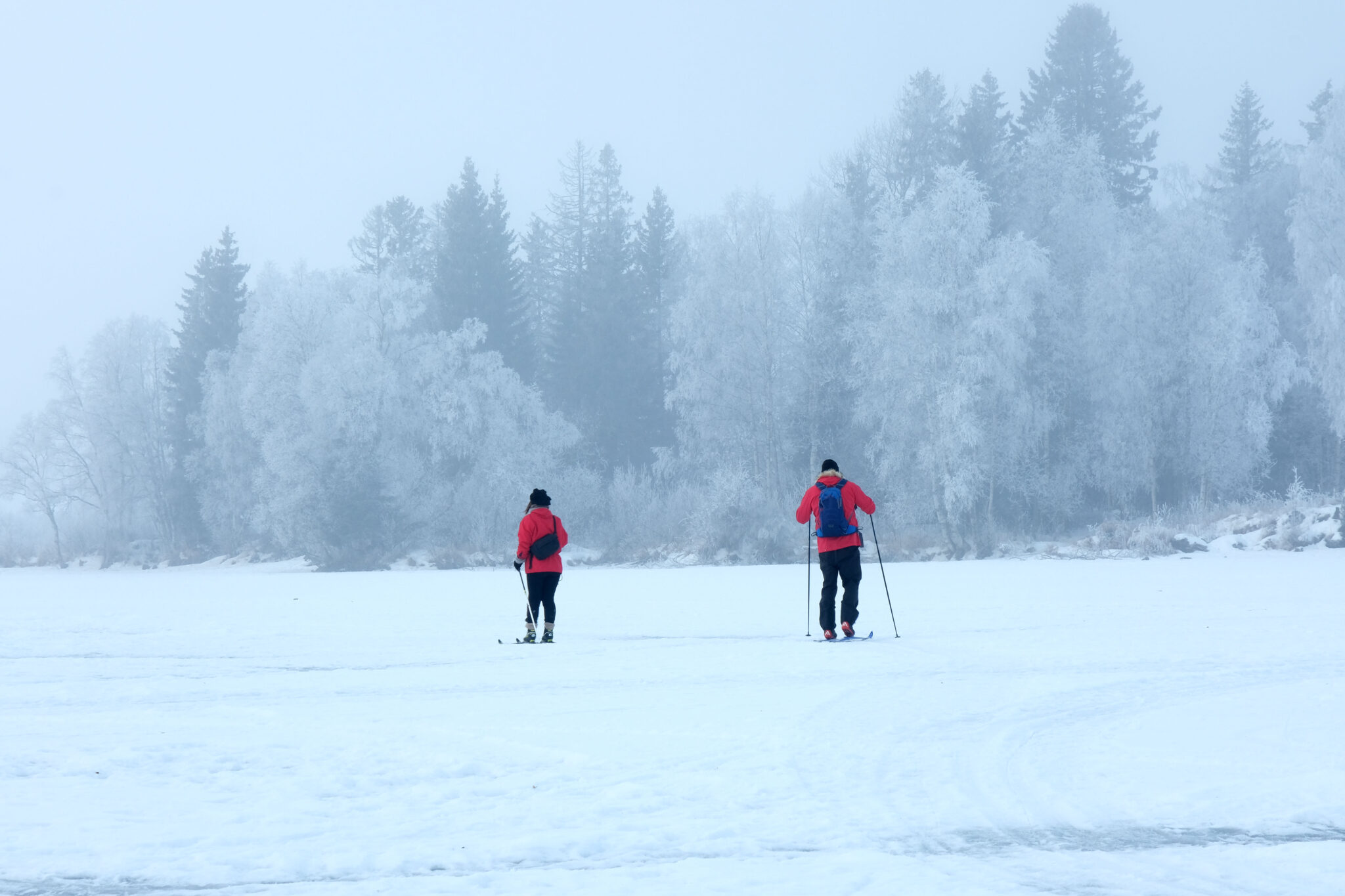You are currently viewing Trender for 2024: Flere nærturer, større utfordringer, mer gjenbruk og bedre kunnskap
