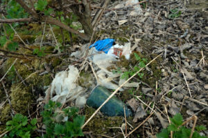 Read more about the article Overforbruk: Jordas ressurser for i år er brukt opp