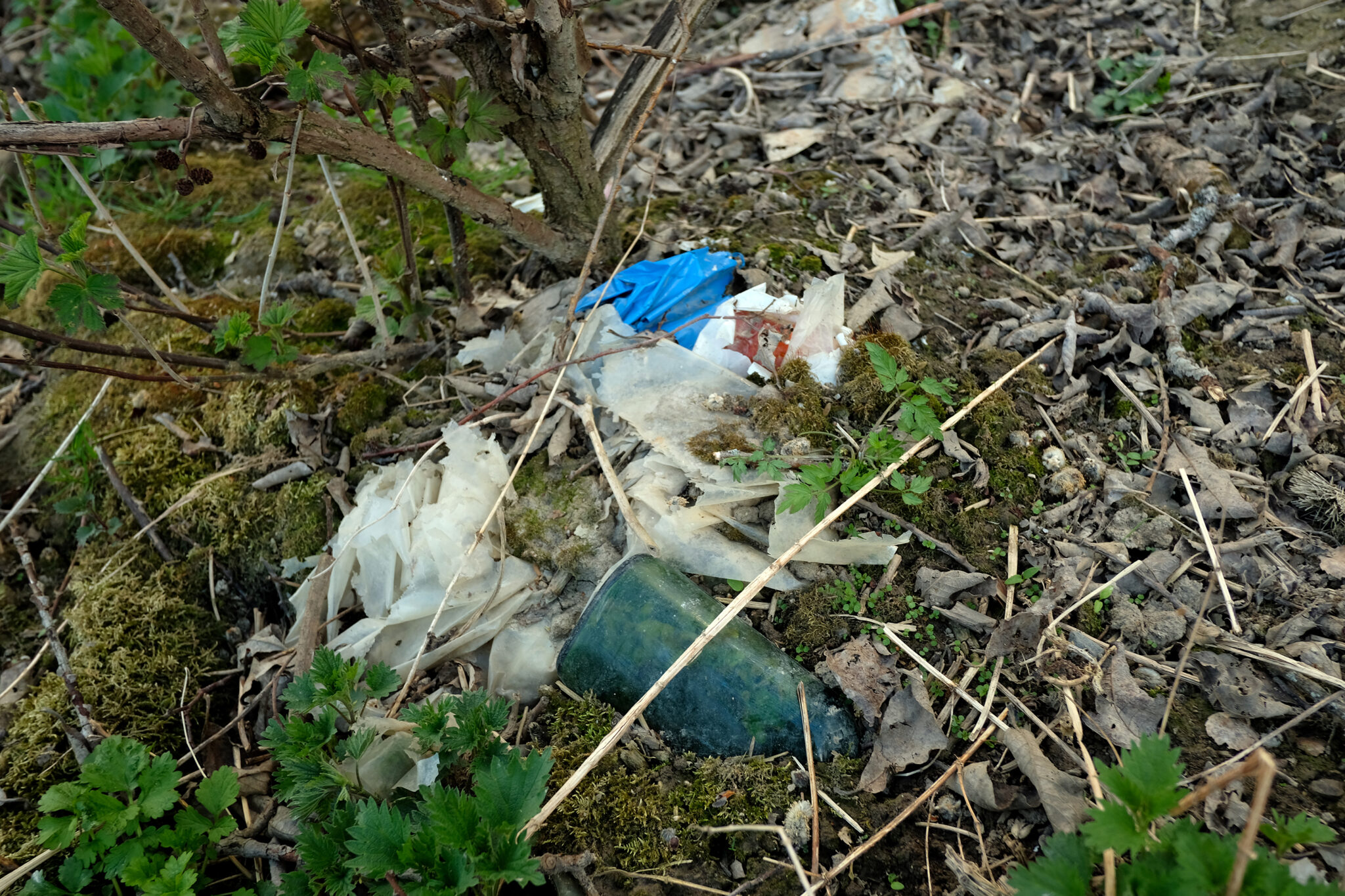 Read more about the article Overforbruk: Jordas ressurser for i år er brukt opp