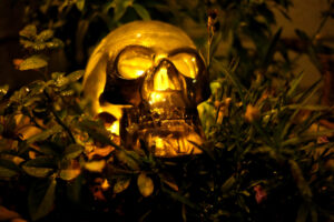 Read more about the article Halloween: Flytt feiring utendørs – eller besøk en stemningsfull hytte