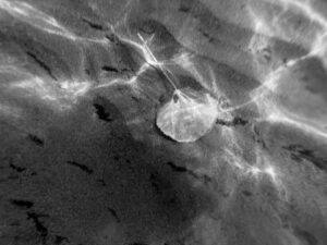 Read more about the article Flere druknet i 2024: – Økningen er dypt bekymringsfull