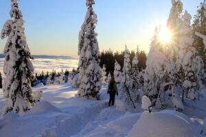 Read more about the article Friluftsliv fra 1970 til i dag: Færre går på ski, flere deltar aldri. Økonomi skaper forskjeller.