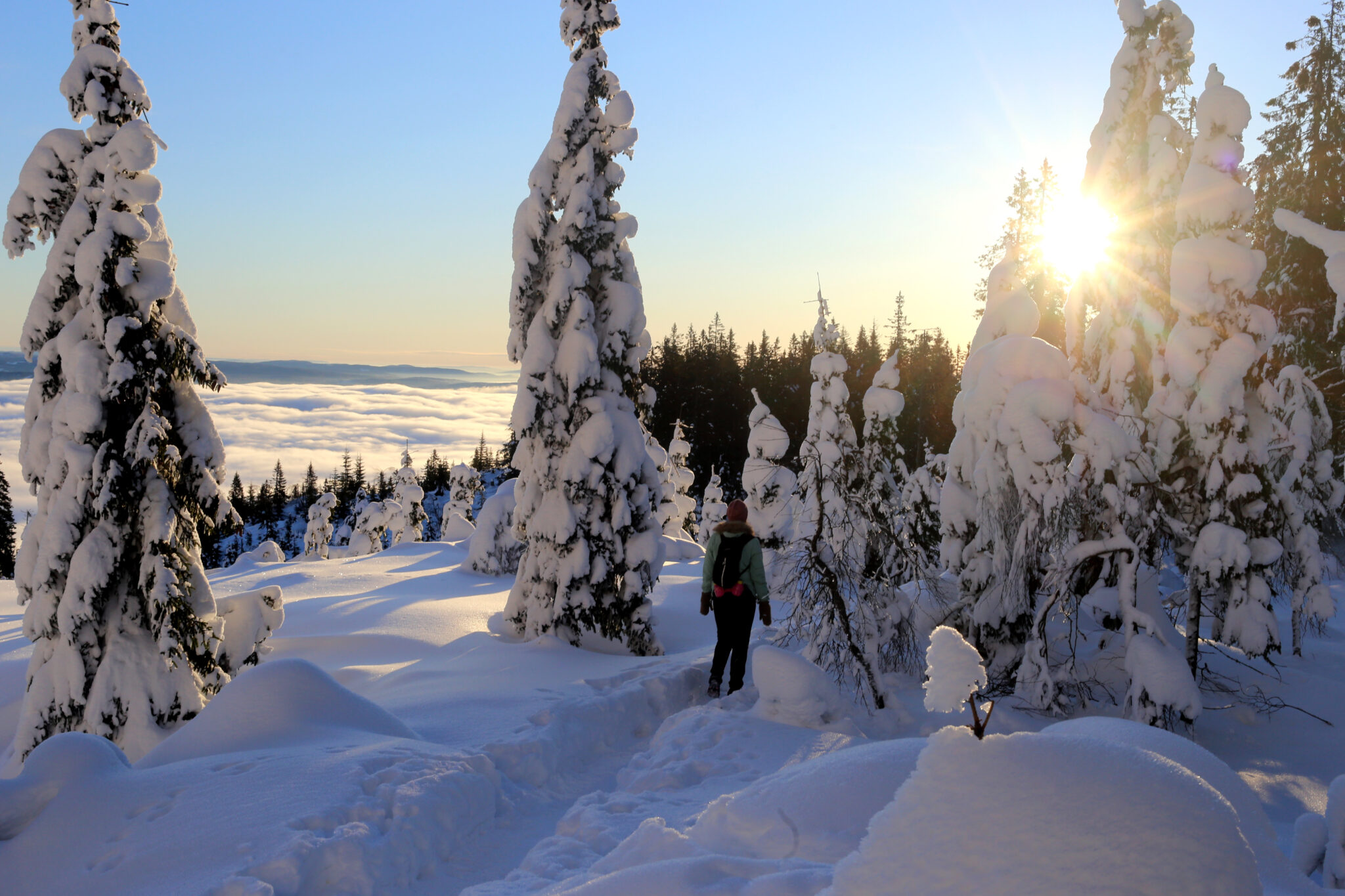 Read more about the article Flere vil være mer ute i naturen
